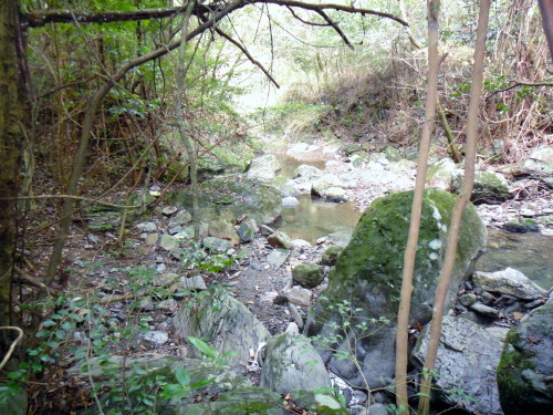 c0179351_20344756.jpg