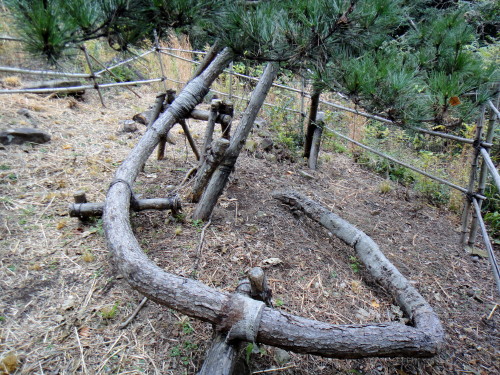 c0179351_21413310.jpg
