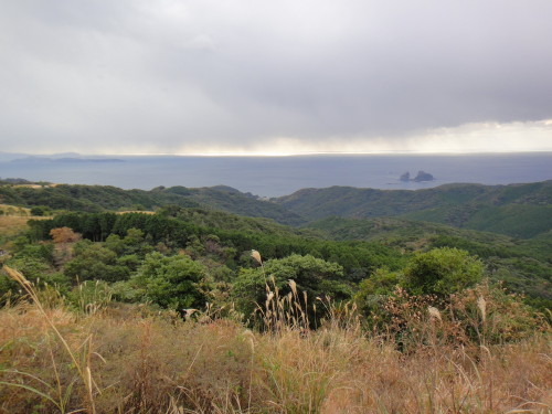 c0179351_21423933.jpg