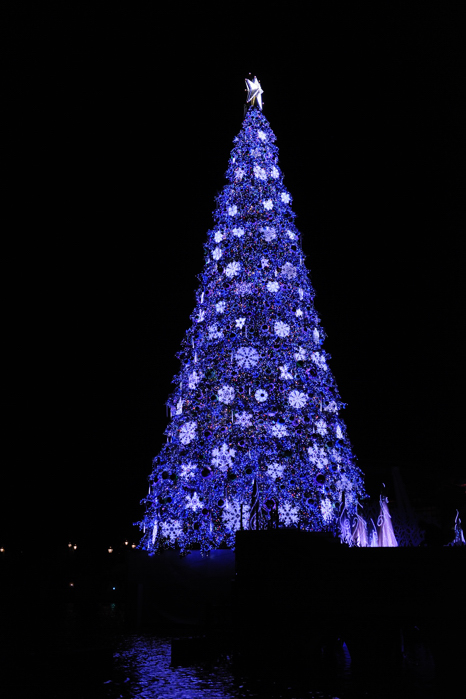e0216857_70126.jpg
