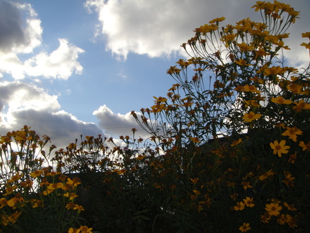 c0108460_16223299.jpg