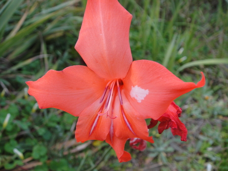 c0108460_16244322.jpg