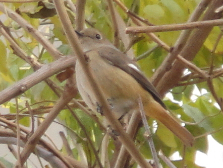 c0108460_1626418.jpg