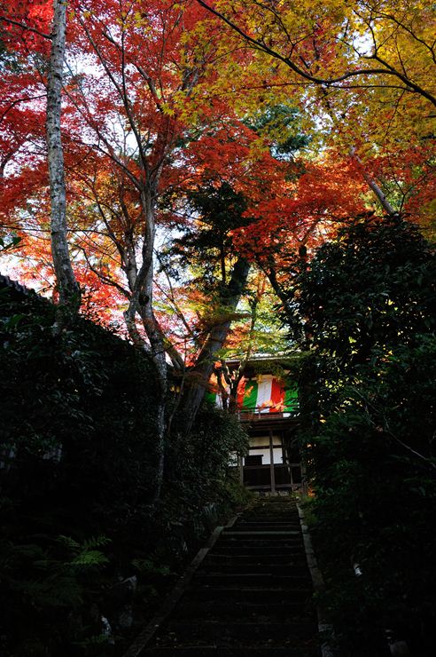 f0222161_1019764.jpg