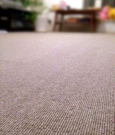 d0215369_22471325.jpg