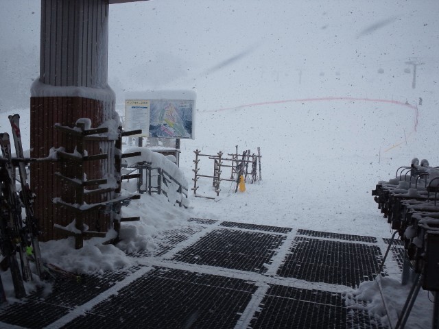 f0204469_21442529.jpg