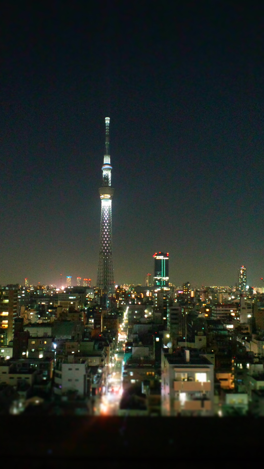 b0192470_12455681.jpg