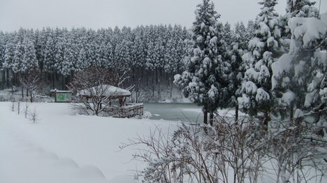 c0022275_2136324.jpg