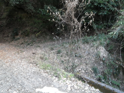 c0019376_20441584.jpg