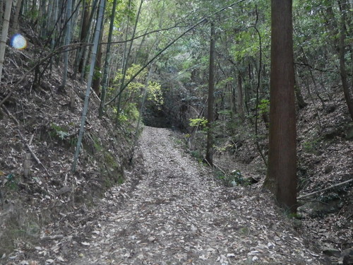 c0019376_20463141.jpg