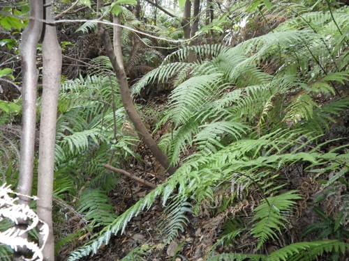 c0019376_20501057.jpg