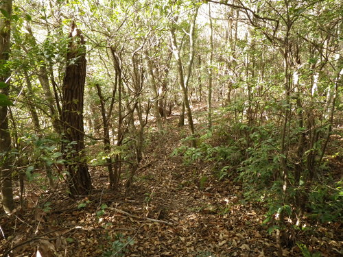 c0019376_20542595.jpg