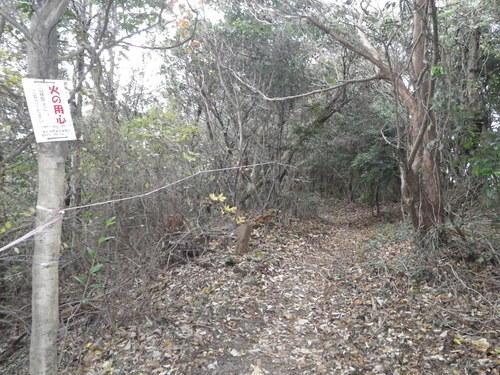 c0019376_2058624.jpg