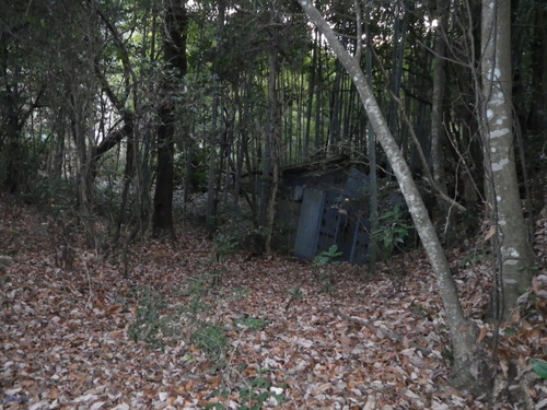 c0019376_2117228.jpg