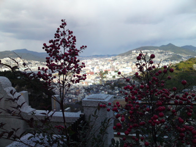 b0046478_14113674.jpg