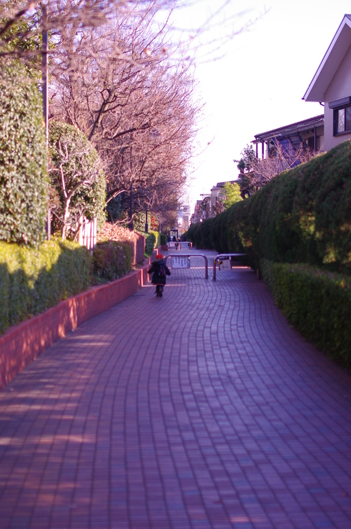 c0182782_22134727.jpg