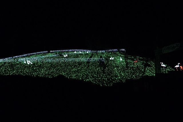 f0169884_13221260.jpg
