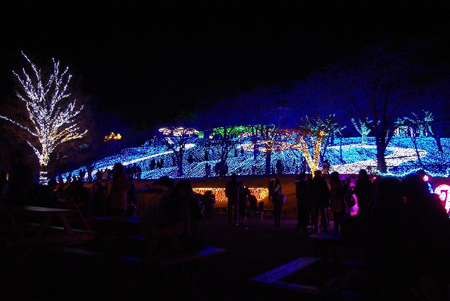 f0169884_13295763.jpg