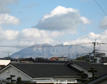 e0130185_1764613.jpg