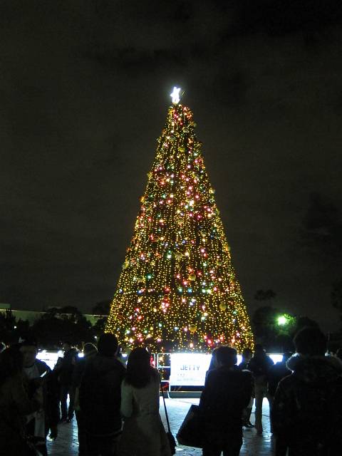 b0062687_917654.jpg