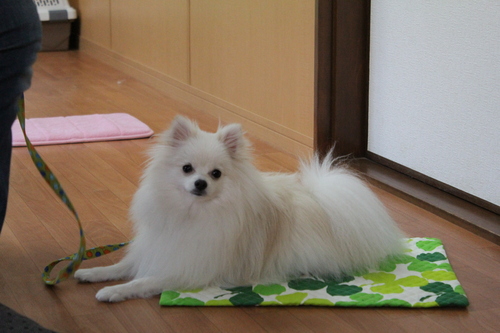 a0234491_23153319.jpg