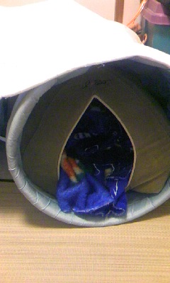 a0164292_2153659.jpg