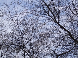 b0092794_221486.jpg