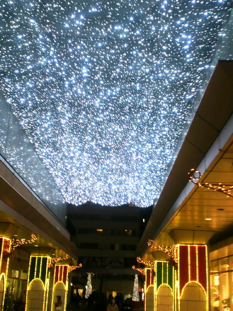 d0173197_21363939.jpg