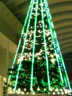 d0173197_21504283.jpg