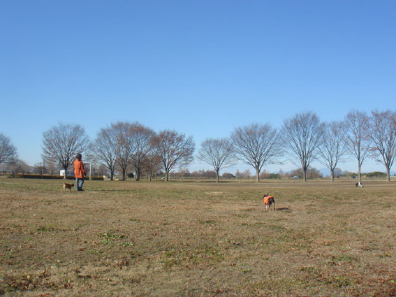 c0094999_1302014.jpg