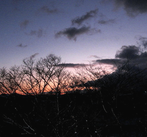 f0236201_8241566.jpg
