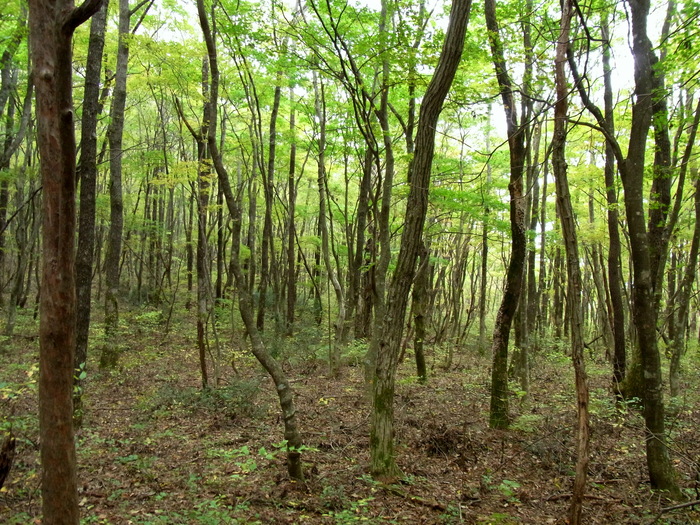 c0197004_23434660.jpg