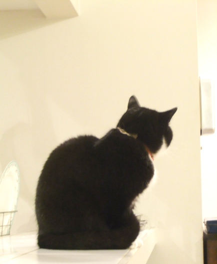 e0224610_22393391.jpg