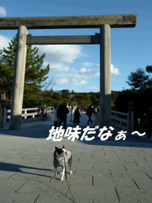 e0214712_2318631.jpg