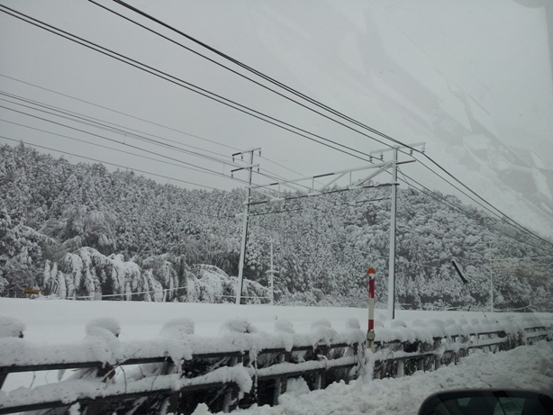 e0033713_916818.jpg