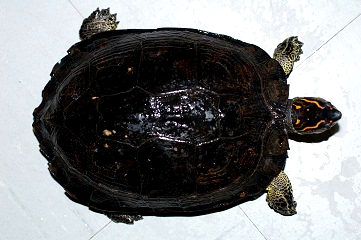 e0254814_0424017.jpg