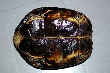 e0254814_0432293.jpg