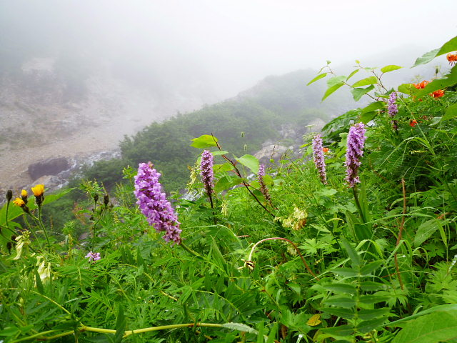 d0170615_12505018.jpg