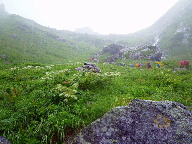 d0170615_12511072.jpg