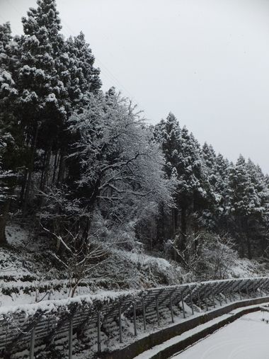 c0152123_21385511.jpg