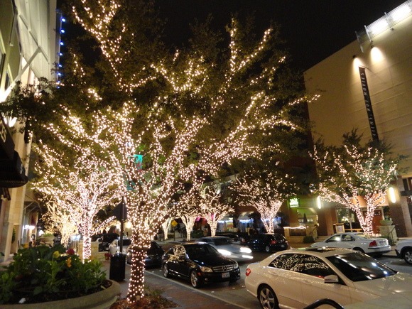 f0238932_1142856.jpg