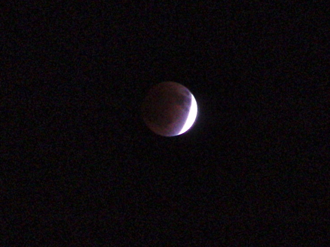 f0060535_23152829.jpg