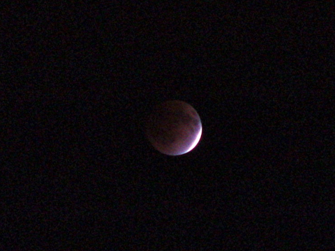 f0060535_2315334.jpg