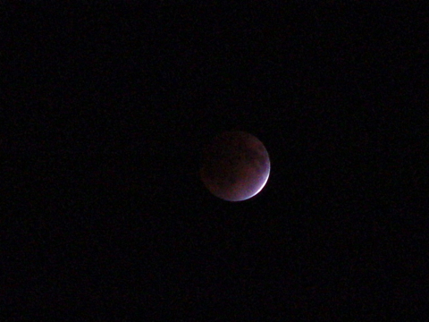 f0060535_23153583.jpg