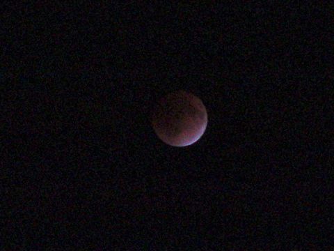 f0060535_2315376.jpg