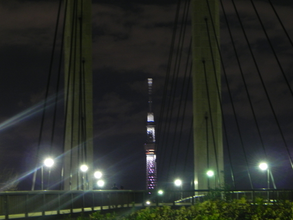 a0185236_0303673.jpg