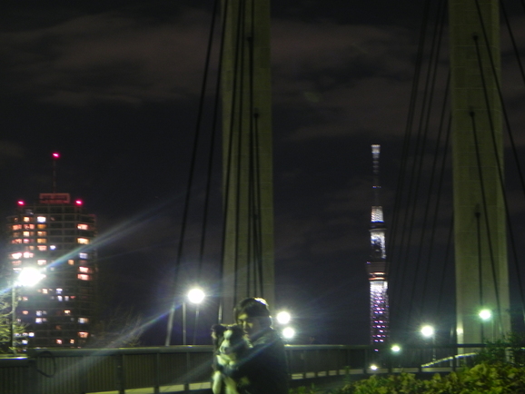 a0185236_0322243.jpg
