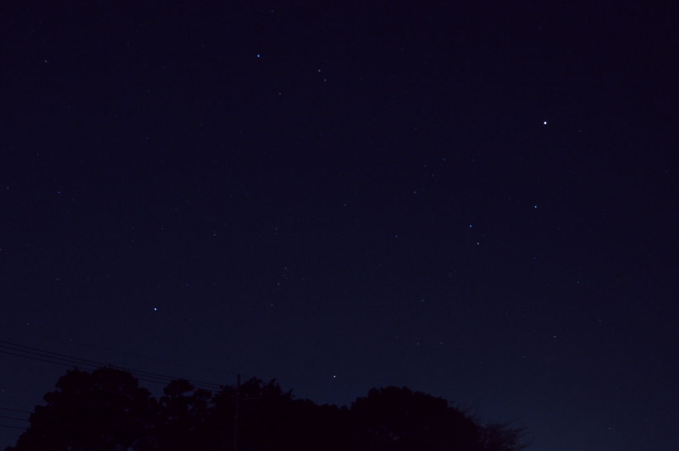d0138737_8375139.jpg