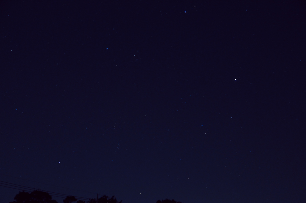 d0138737_8383344.jpg