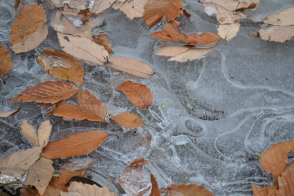 e0228938_2126253.jpg
